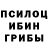 Галлюциногенные грибы мухоморы MAIKE_MANJIRO SANO
