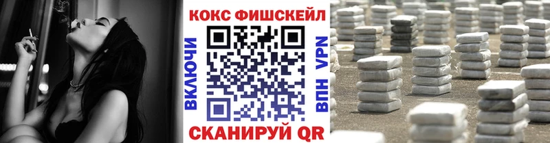купить закладку  Зима  COCAIN Fish Scale 