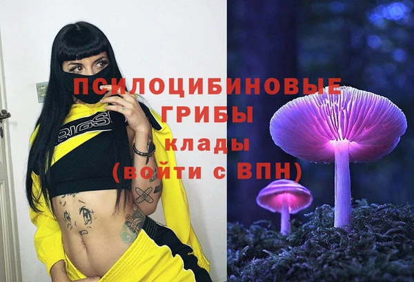 твердый Аркадак