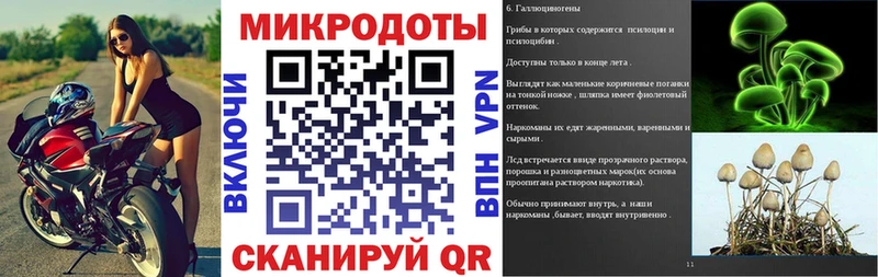 Псилоцибиновые грибы Psilocybine cubensis нарко площадка официальный сайт Зима