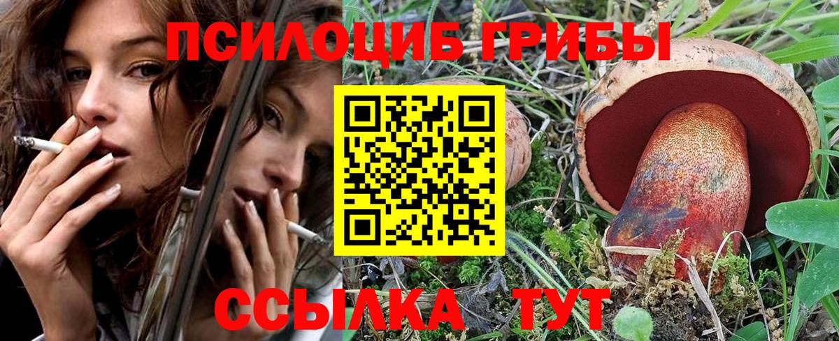 как найти закладки  Псилоцибиновые грибы мицелий  Псилоцибиновые грибы Cubensis  Вход с VPN  Зима 