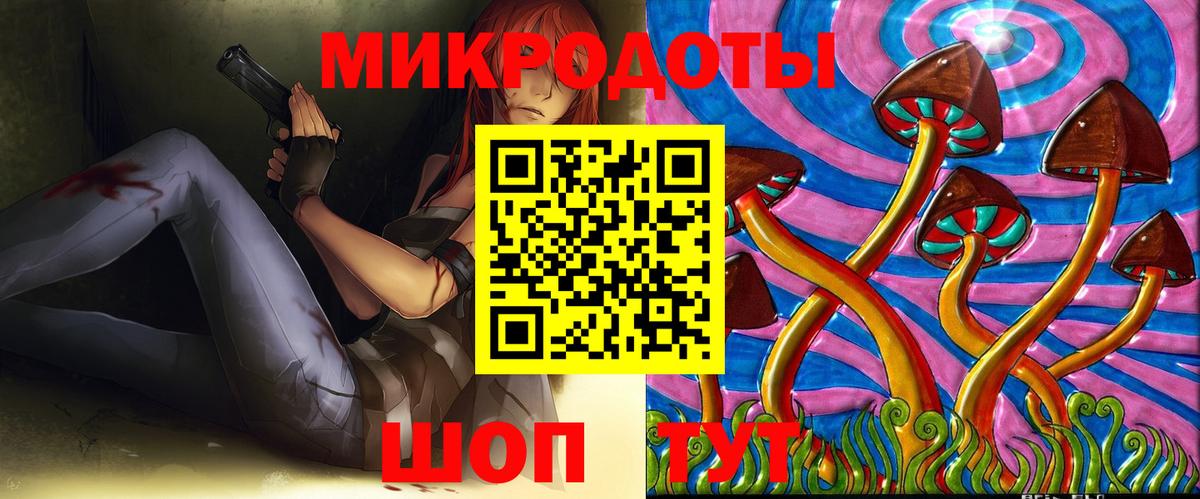 Галлюциногенные грибы Psilocybine cubensis Зима