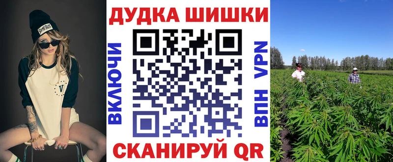 где купить наркотик  Зима  ссылка на мегу ссылки  Канабис сатива 